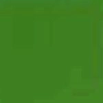 12362-0.webp
