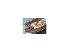158869-3.webp