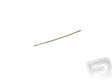 509340-0.webp
