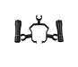 555768-1.webp