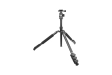 567379-3.webp