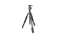 567379-4.webp