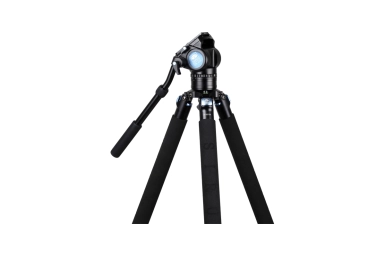 567411-0.webp