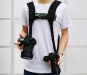 569146-4.webp