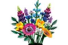 581727-0.webp