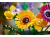 581727-11.webp