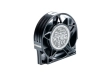593562-1.webp