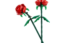 598244-0.webp