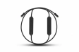 609463-1.webp