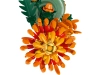 609521-3.webp