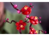 609522-7.webp