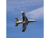 610624-23.webp