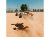 611091-2.webp