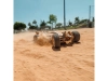 611091-5.webp