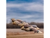 616347-16.webp