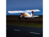 616947-5.webp