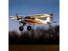 616947-8.webp