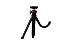 617318-0.webp