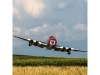 619074-5.webp