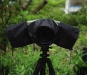 623001-9.webp