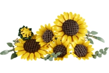634952-0.webp