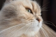 635462-2.webp