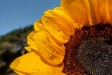 635462-3.webp