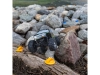719912-11.webp