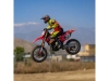 719919-5.webp