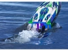 720131-9.webp