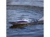 720148-10.webp