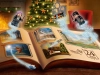 720629-2.webp