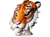 720655-3.webp