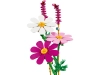 720678-3.webp