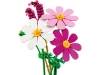 720678-4.webp