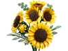 720679-1.webp
