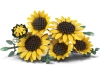 720679-3.webp