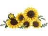 720679-5.webp