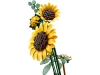 720679-6.webp