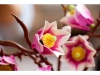720682-11.webp