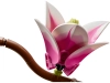720682-5.webp