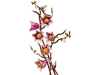 720682-6.webp