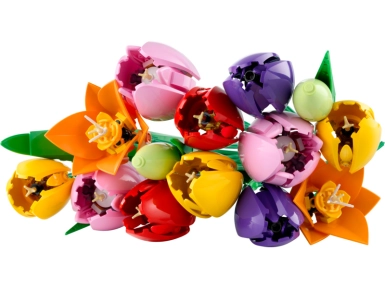 720683-0.webp