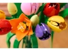 720683-10.webp