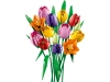 720683-4.webp