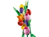 720683-5.webp