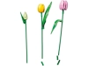 720683-6.webp