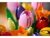 720683-9.webp