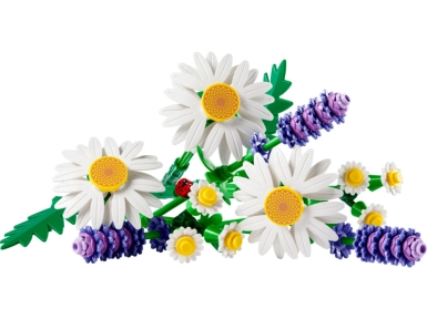 720685-0.webp