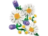 720685-5.webp